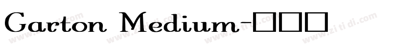 Garton Medium字体转换